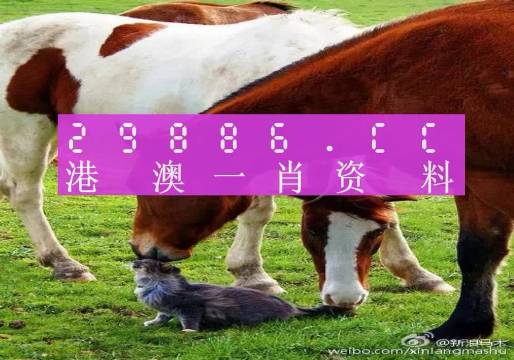 百科 第437页