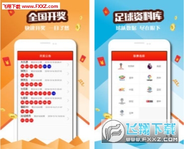 2004新澳门天天开好彩大全,精选资料解析大全