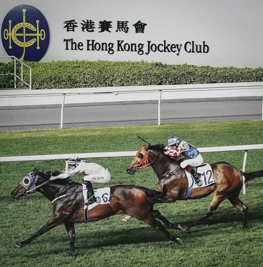 马会香港7777788888,精选资料解析大全