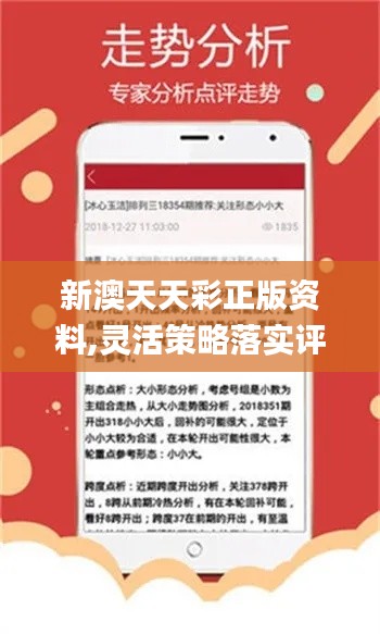 2025新澳资料免费精准17码,精选资料解析大全