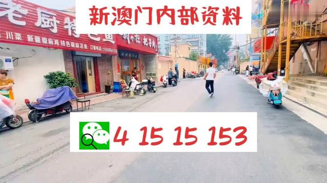 2004新澳门天天开好彩大全地址,探索2004年新澳门天天开好彩大全的神秘之旅